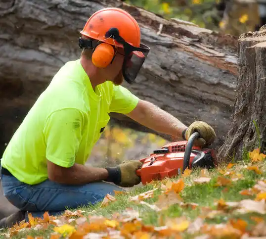 tree services Wakeman